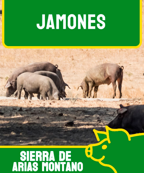 Jamones