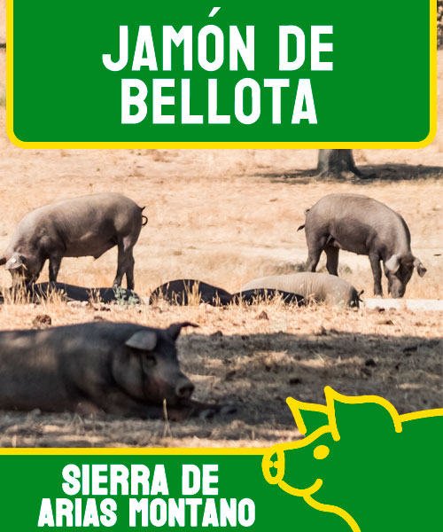 Jamones de Bellota