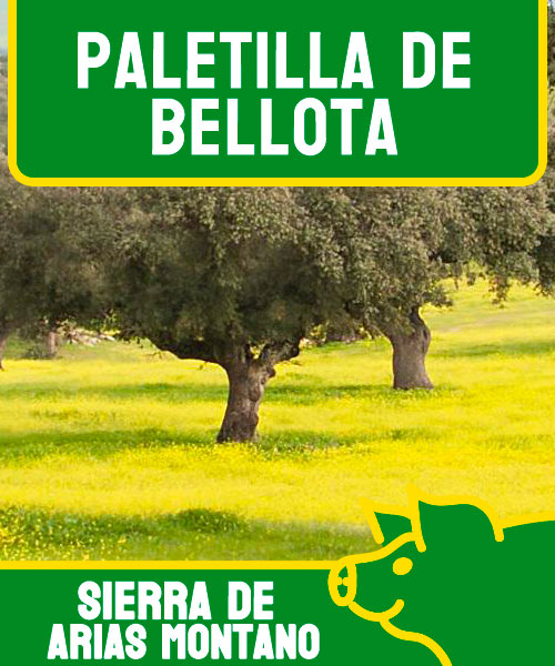 Paletas de Bellota