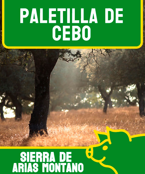 Paletas de Cebo